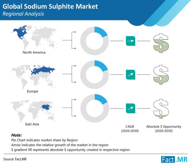 sodium-sulphite-market-regional-analysis