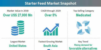 starter-feed-market-snapshot