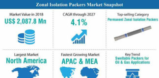 zonal-isolation-packers-market-snapshot