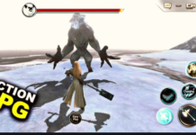 What is an RPG / Action RPG video game? video game