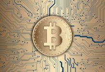 The youngest billionaire the crypto space has ever witnessed