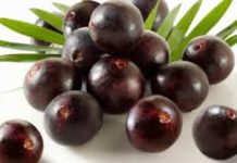 Analysis of COVID-19 Crisis-driven Growth Opportunities in Acai Berry Market