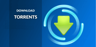 Torrent File
