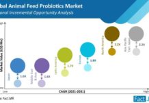 Global Animal Feed Probiotics Market to Add 2X value by 2031