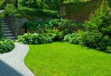 Artificial Grass Abu Dhabi