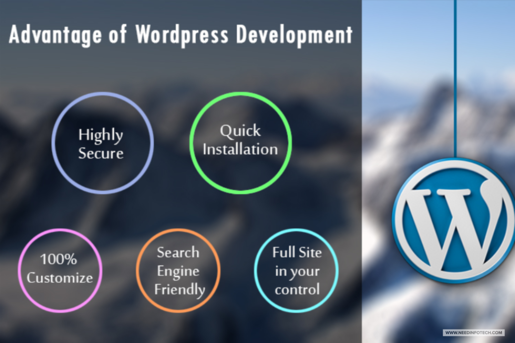 Wordpress создает много изображений