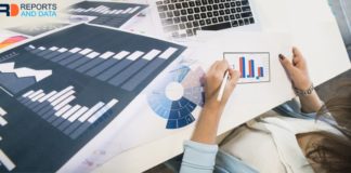 Domain Name System (DNS) Service Market