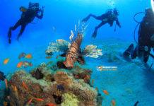 What is there to do in Hurghada Egypt in October & November?