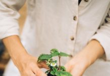 Dripline Market Size, Product Trends, Key Companies, Revenue Share Analysis, 2027