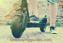 Electric Scooter Best Buying Guides