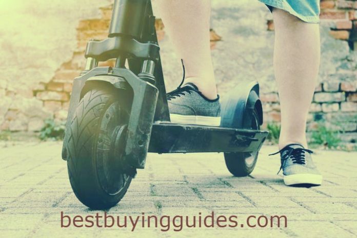 Electric Scooter Best Buying Guides