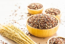Food Fibers Market Size Analysis, Drivers, Restraints, Key Factors Forecast, 2028