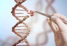 Cancer Gene Therapy Market Size will Observe Lucrative Surge by the End 2024
