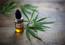 Are you a beginner to take CBD? Then follow a helpful tutorial