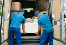 Removal Services
