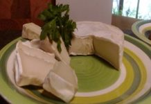 Impact of COVID-19 Outbreak on Vegan Cheese Industry Revenue Overview, in-Depth Analysis, Forecasts, Applications, Shares & Insights