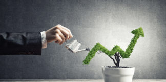 Business Growth
