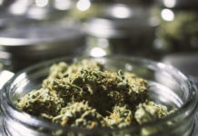 Everything you should know about the Ontario cannabis store