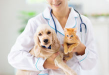 Animal Artificial Insemination Report Analysis With Industry Share Insights Shared in Detailed Report