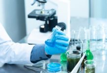 Electroactive Polymer Market