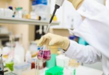 Post-harvest Treatment Market Size, Revenue Analysis, Opportunities, Trends, Product Launch, 2024–2026 Post-harvest Treatment Market