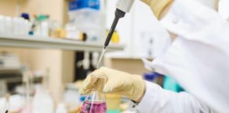 Post-harvest Treatment Market