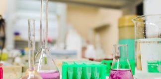 Synthetic Zeolites Market