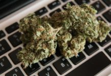 How can you buy weed online and get benefits?