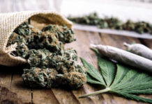 7 Drug Categories which you may’nt known about!