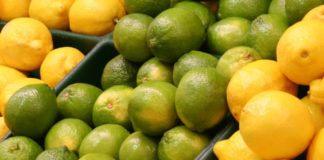 Lime Market