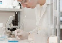 Isoprene Monomer Market