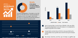 Cannabis Market