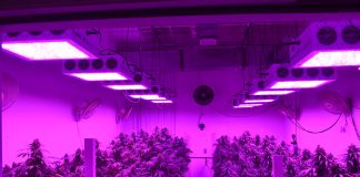 LED Grow Lights