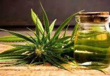 Health Benefits of Cannabis You Didn’t Know