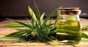 Health Benefits of Cannabis You Didn’t Know