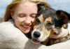 The Many Benefits of Having a Pet