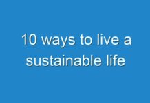 10 ways to live a sustainable life