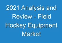 2024 Analysis and Review – Field Hockey Equipment Market