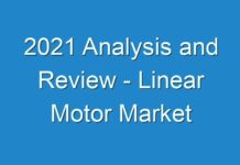 2024 Analysis and Review – Linear Motor Market