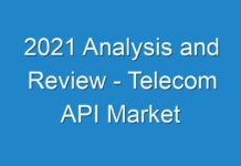 2024 Analysis and Review – Telecom API Market
