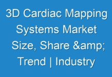 3D Cardiac Mapping Systems Market Size, Share & Trend | Industry Analysis Report, 2027