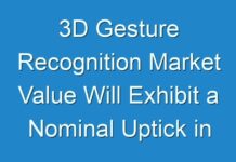3D Gesture Recognition Market Value Will Exhibit a Nominal Uptick in 2024 as Corona Virus Outbreak Prevails as a Global Pandemic, Says TMR in a Revised Report