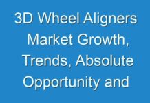 3D Wheel Aligners Market Growth, Trends, Absolute Opportunity and Value Chain 2024-2031