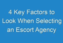 4 Key Factors to Look When Selecting an Escort Agency