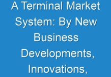 A Terminal Market System: By New Business Developments, Innovations, And Top Companies 2017 – 2025