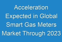 Acceleration Expected in Global Smart Gas Meters Market Through 2024