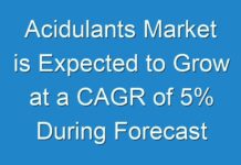 Acidulants Market is Expected to Grow at a CAGR of 5% During Forecast Period 2024-2030