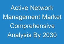 Active Network Management Market Comprehensive Analysis By 2030