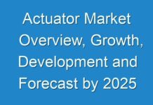 Actuator Market Overview, Growth, Development and Forecast by 2025