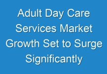 Adult Day Care Services Market Growth Set to Surge Significantly during 2016 – 2024